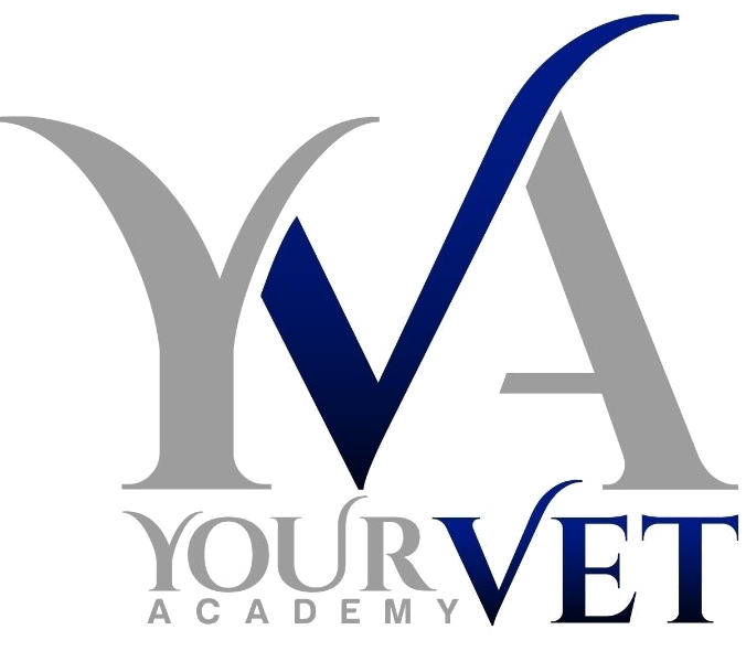 Yourvet Academy