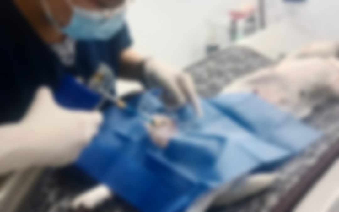 Curso Criogenia